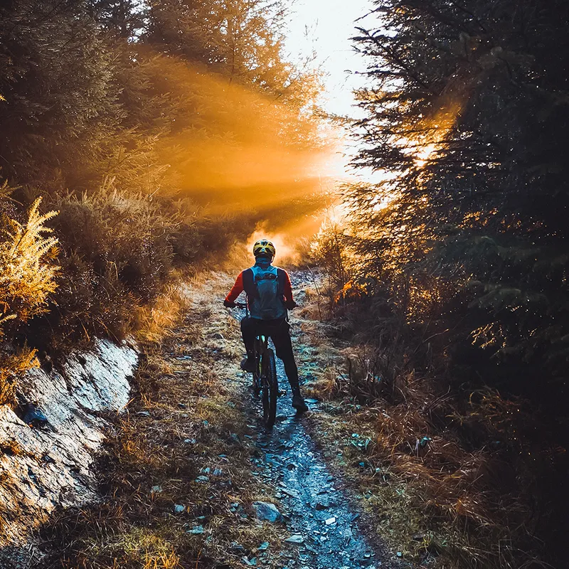 Someone cycling towards sunlight
